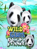 แอ พ สล็อต ยืนยัน ตัว ต้น: วิธีเล่นให้สนุกและได้เงิน